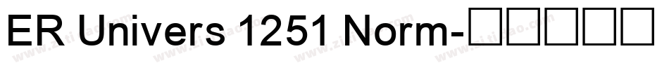 ER Univers 1251 Norm字体转换